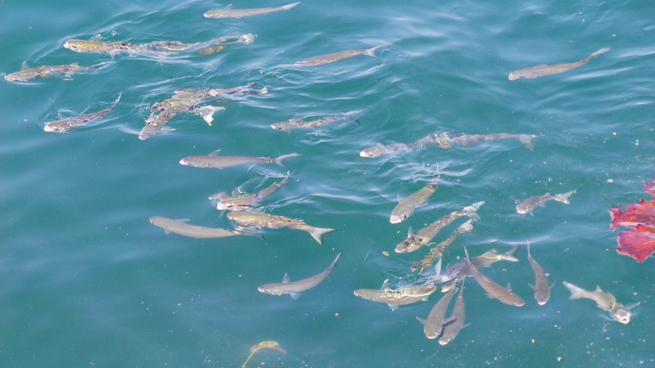 Ocean Green Flats Angra dos Reis Luaran gambar